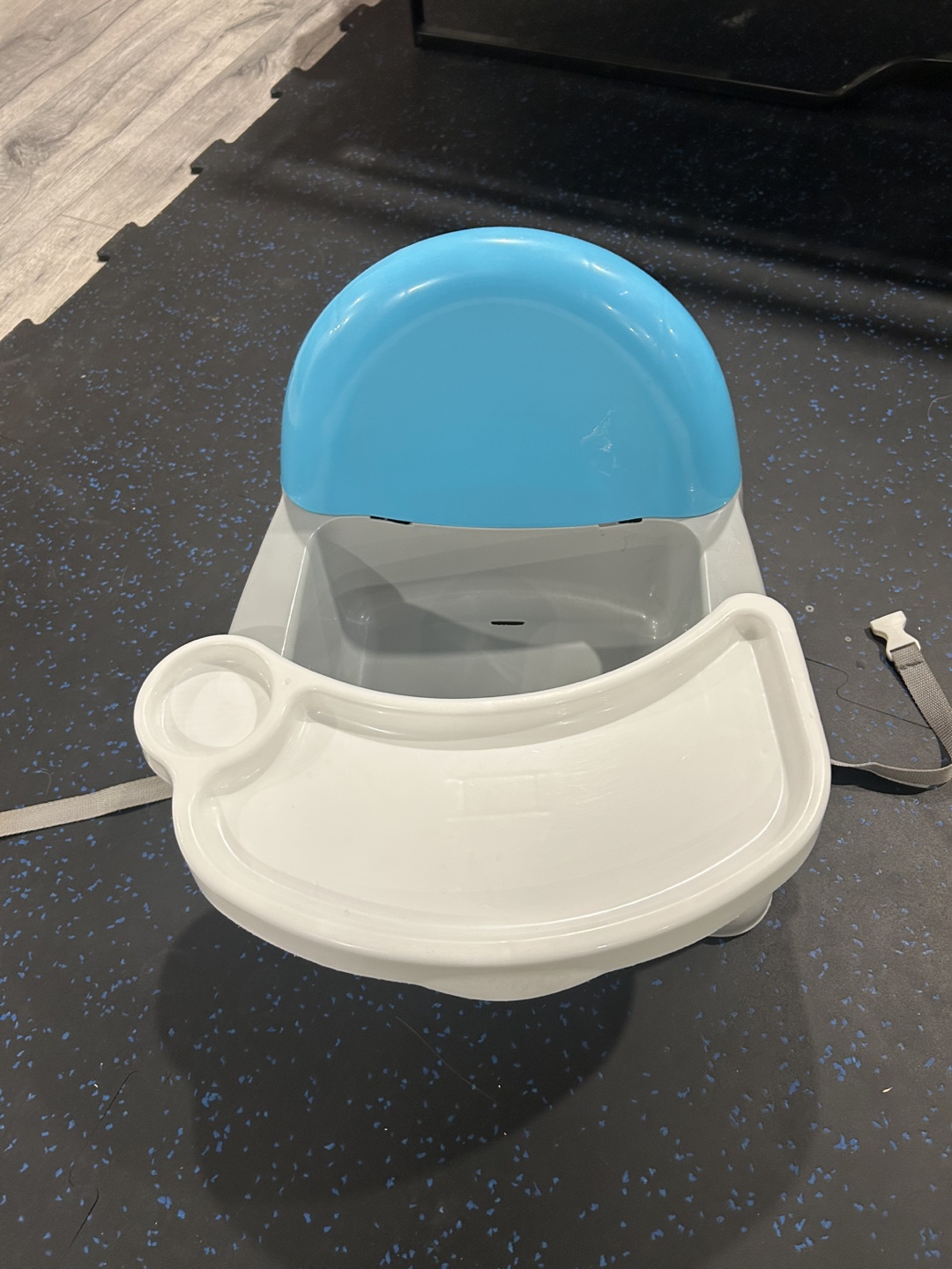 Easy Care Swing Tray Booster Seat - photo 2