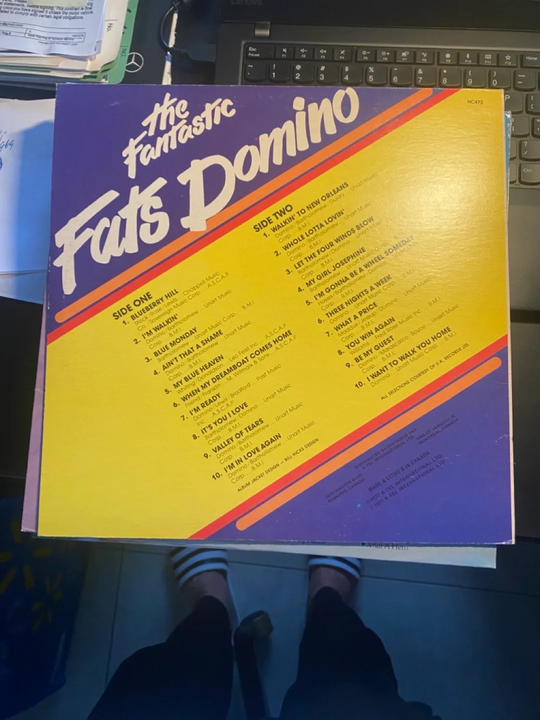 The Fantastic Fats Domino 20 Original Hits Vinyl Record Album image indicator(2)