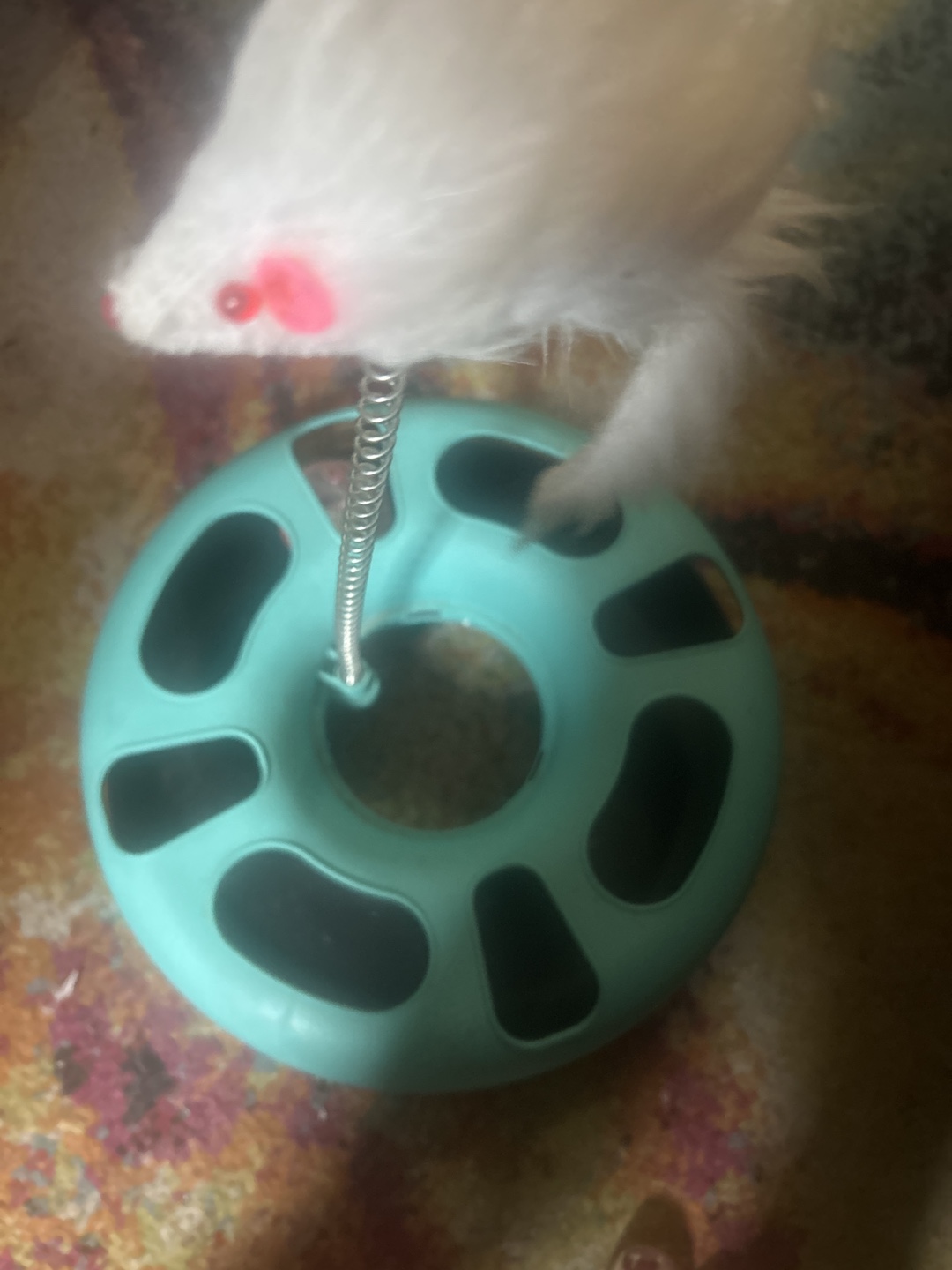 Cat Toy with Feathery Mouse