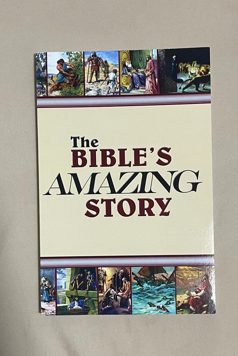 The Bible's Amazing Story Book thumbnail