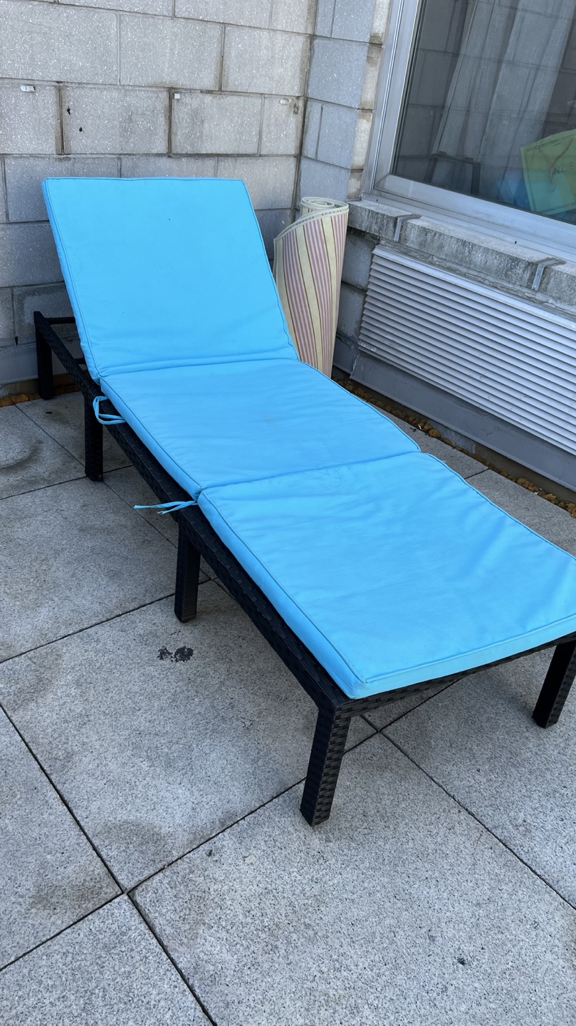 Outdoor Chaise Lounge with Light Blue Cushions