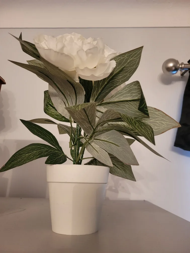 flower image indicator(2)