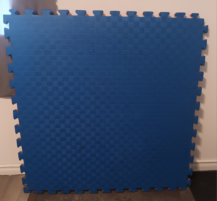 Interlocking EVA Foam Mats - Blue and Pink
