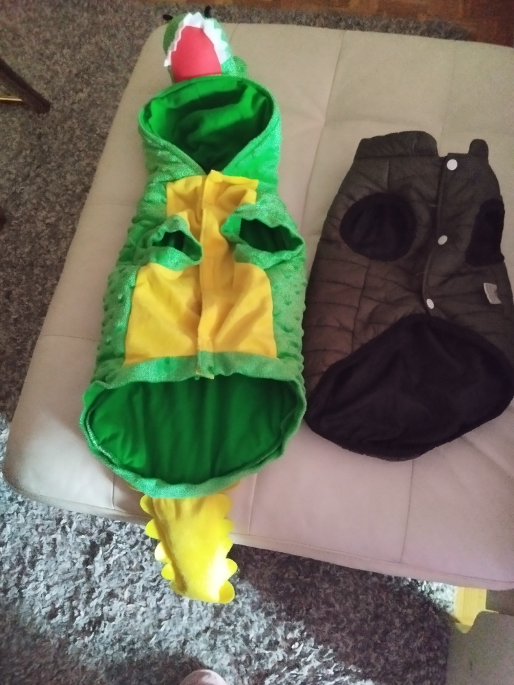 Adorable Dog Costume Set - Dinosaur & Puffer Jacket