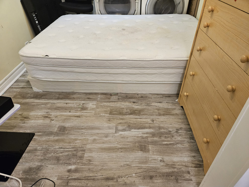 Double Mattress and Box Spring Set