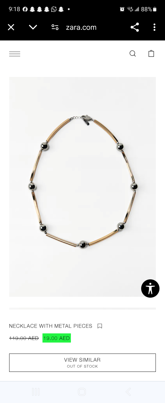 Zara new necklace