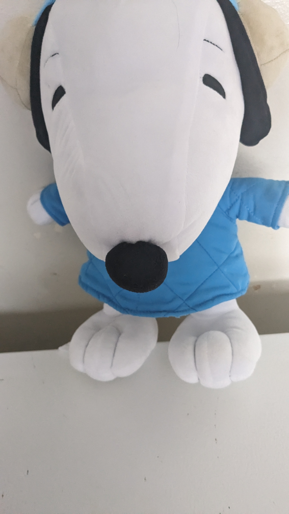 Snoopy/ peanuts brand new