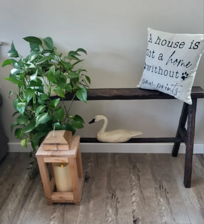 Skinny Benches image indicator(7)