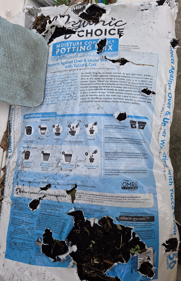 Planting supplies #Freecycle - photo 4