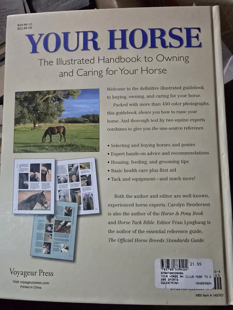 Your Horse - photo 2
