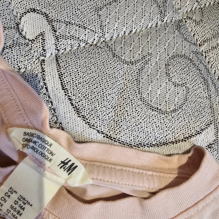 H&M Pink Long Sleeve Crop Top image indicator(2)