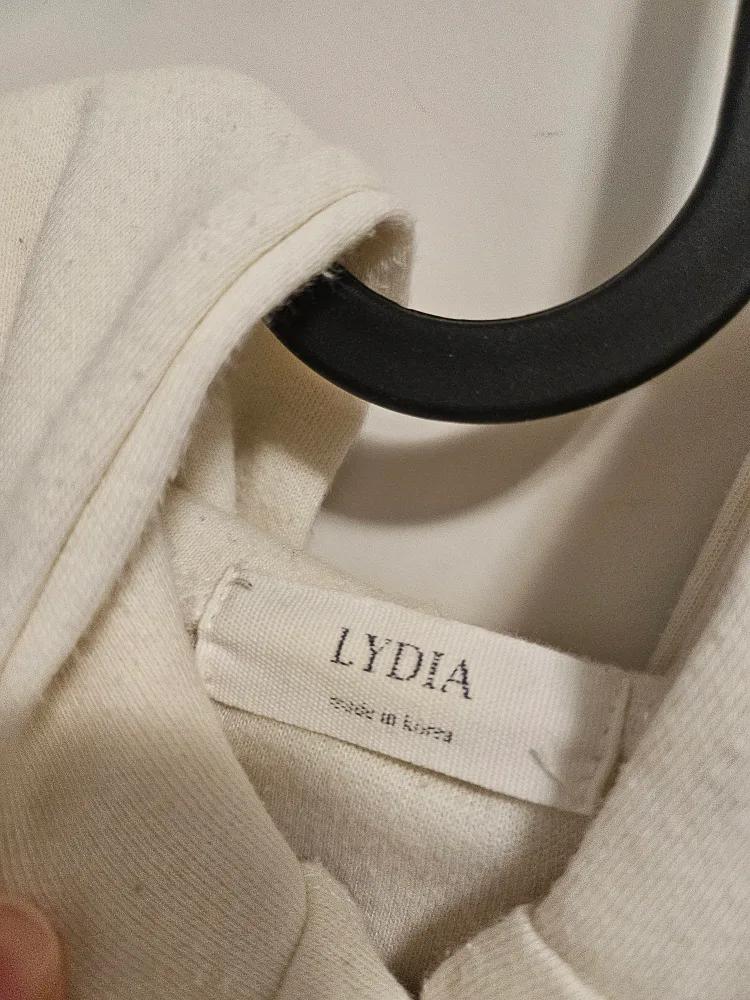 Korea Cropped Hoodie image indicator(2)