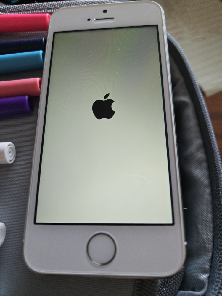 iPhone 5s - White - Used
