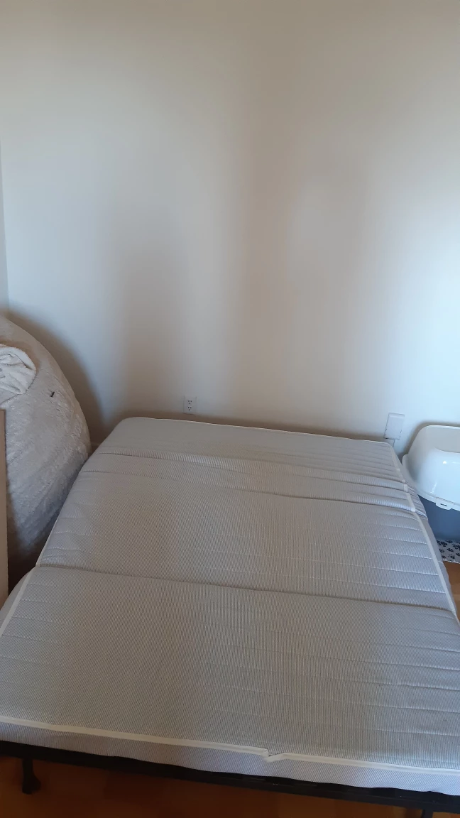 Grey IKEA Friheten Sofa Bed