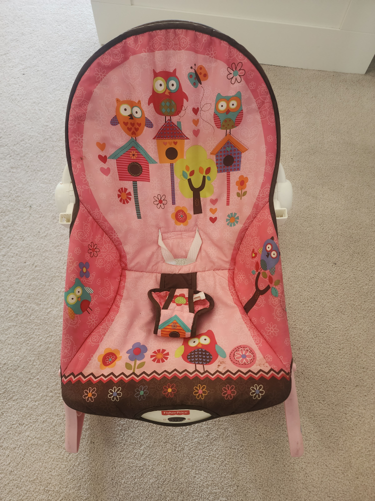 Fisher-Price Infant-to-Toddler Rocker
