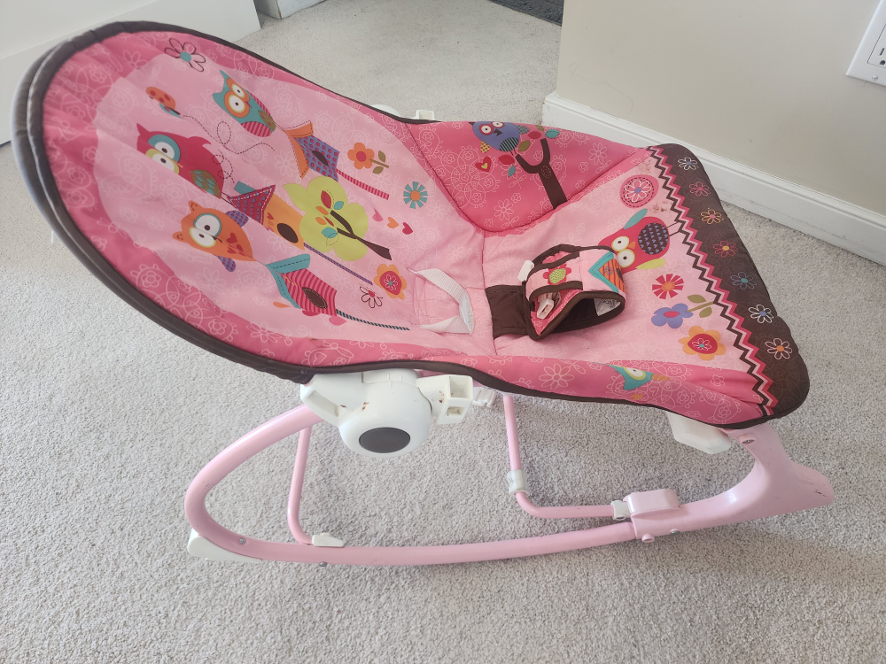 Fisher-Price Infant-to-Toddler Rocker - photo 2