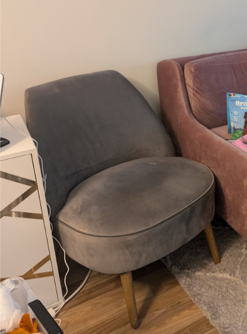 Homesense grey velvet chair