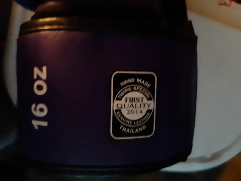 Twins Special 16 oz Purple Boxing Gloves