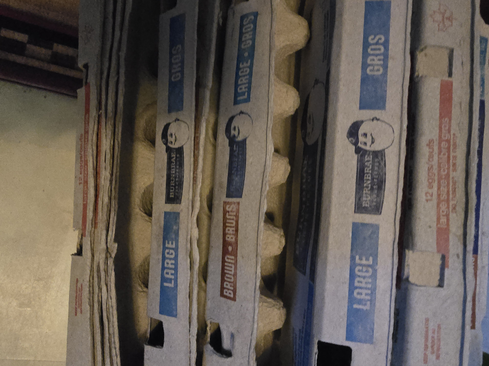 #freecycle Burnbrae Brown & White Large Eggs Cartons (Multiple)