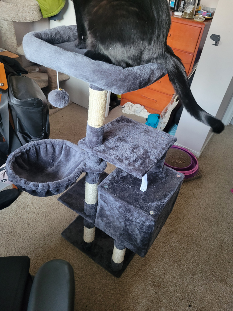 Cat Tree Condo - photo 3
