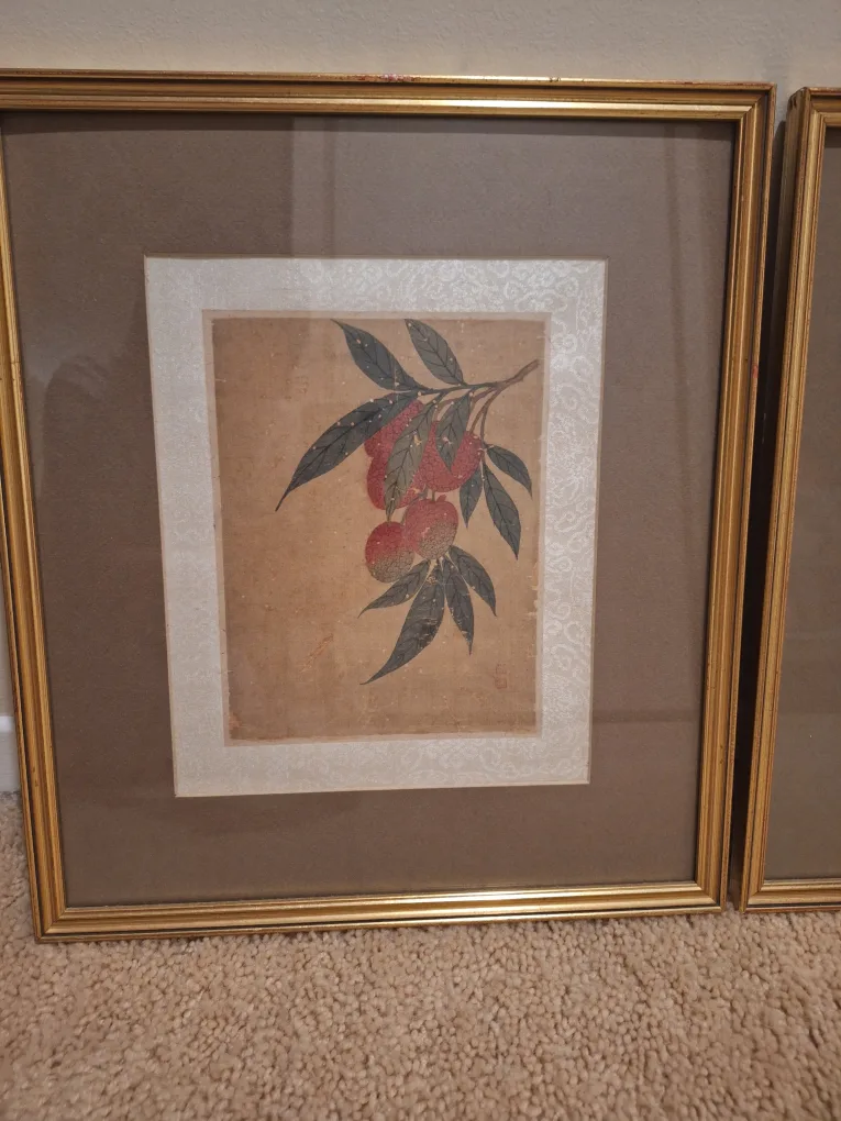 Asian Fruit Drawing/Prints (with frames) image indicator(3)