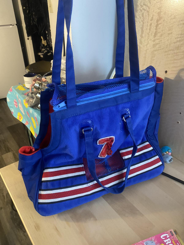 Blue Pet Carrier Tote Bag