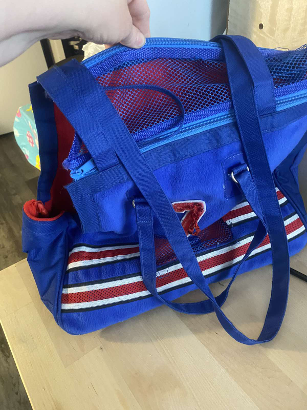 Blue Pet Carrier Tote Bag - photo 3