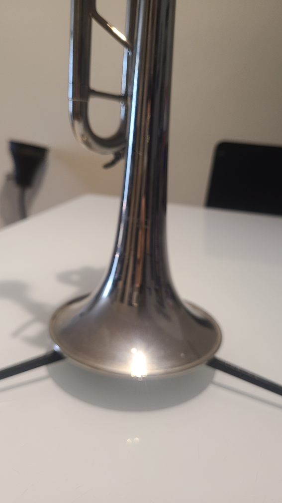 Trumpet for Sale - photo 3