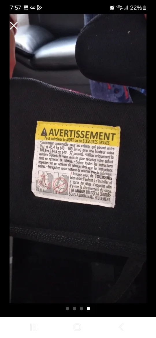 Harmony Youth Booster Car Seat - Pink Zebra Print image indicator(4)