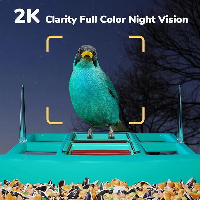 🐦Smart Bird Feeder with AI Bird Recognition - Brand New🥕 image indicator(2)