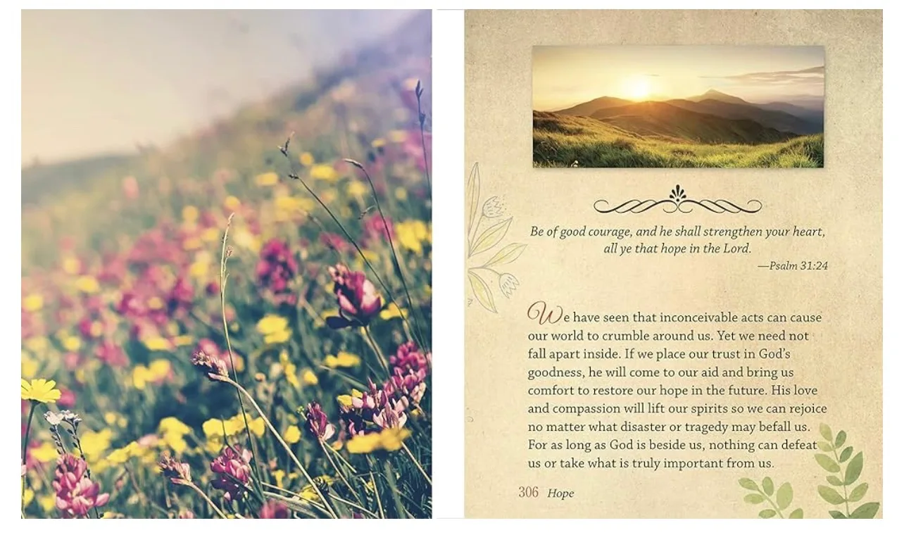 Daily Words of Comfort Book(Padded Hardcover) image indicator(6)