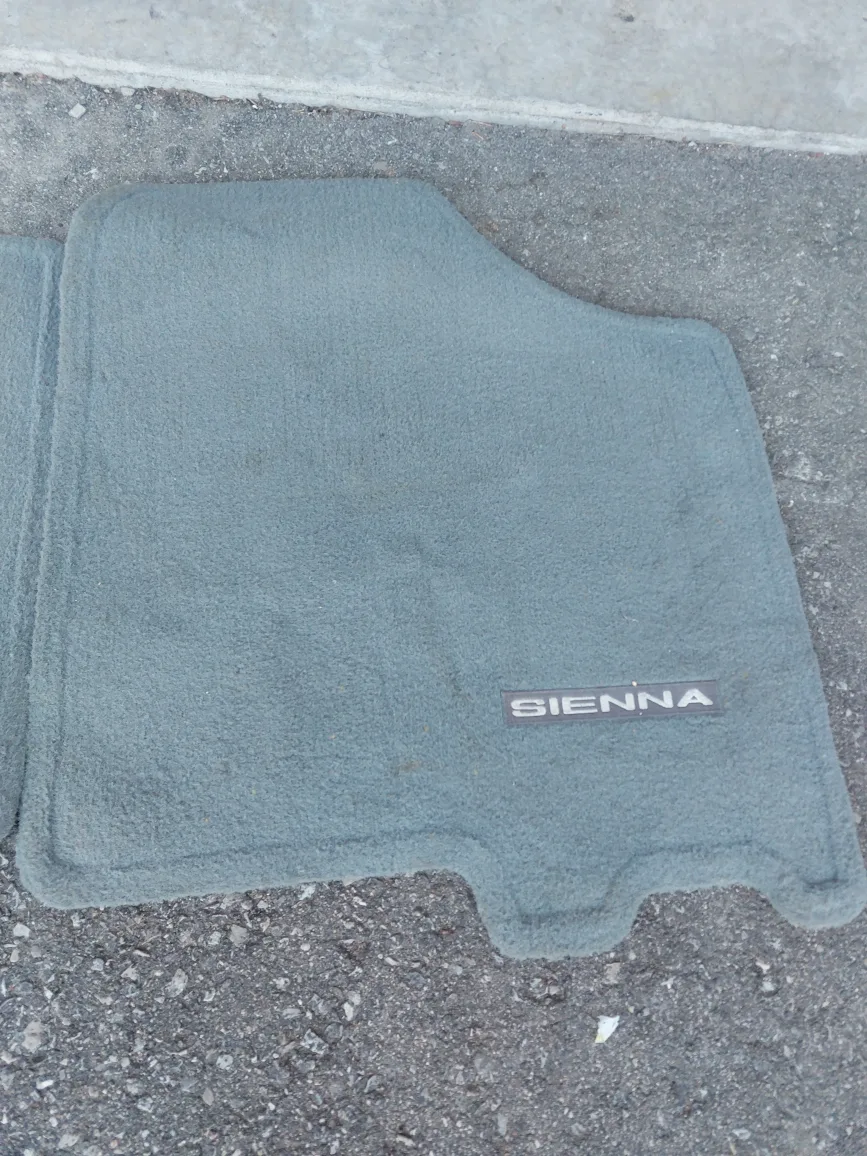 2009 Toyota Sienna Front Floor Mats - Pair image indicator(3)