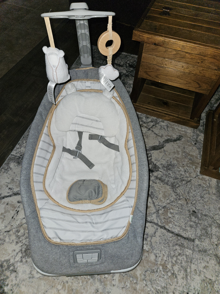 Ingenuity Rocking Seat - Bella Teddy - R Exclusive