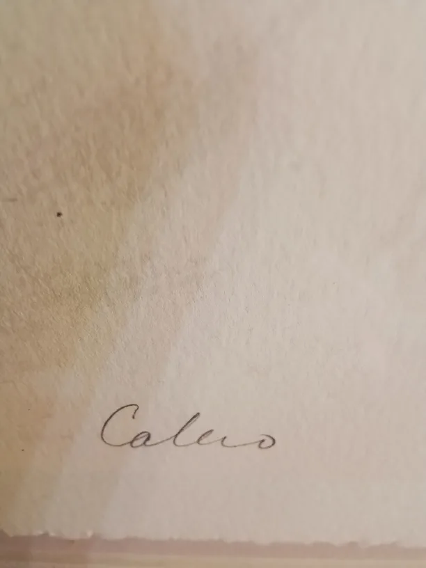 Serigraph on Paper Signed Ricardo Calero 267/500 image indicator(5)