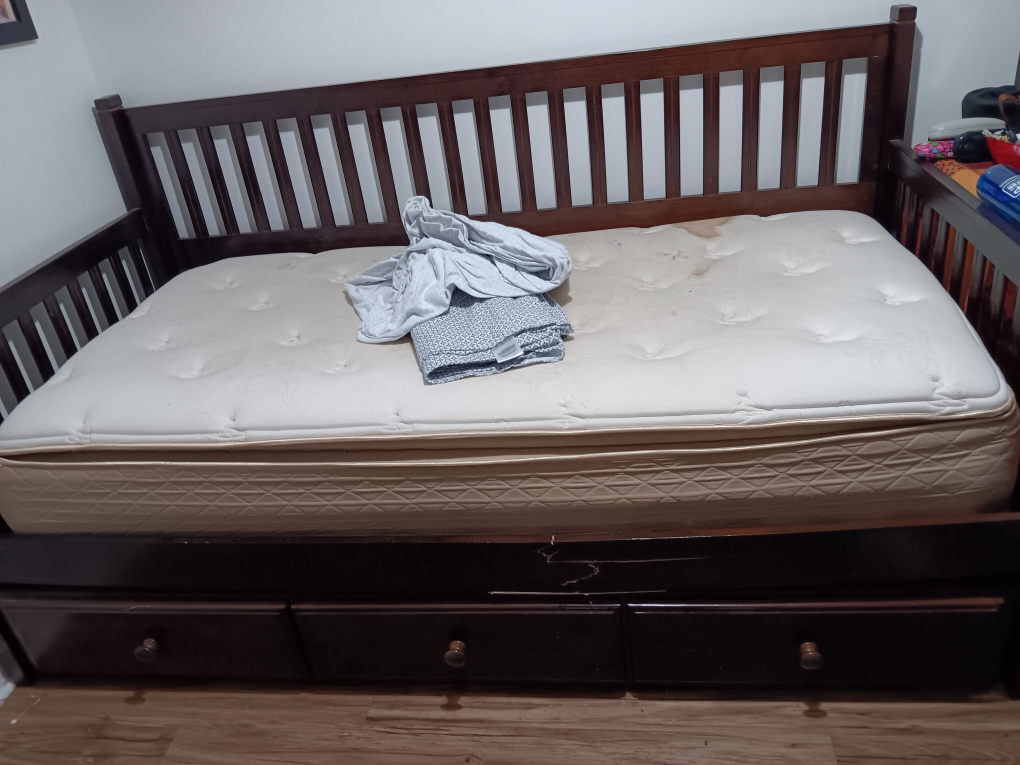 Used Daybed with Two Drawers
