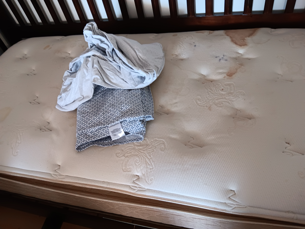 Used Daybed with Two Drawers - photo 4