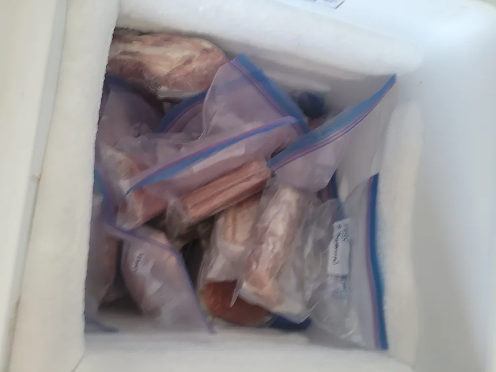 Danby Chest Freezer image indicator(2)