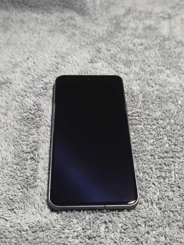 Pixel 8 - photo 2
