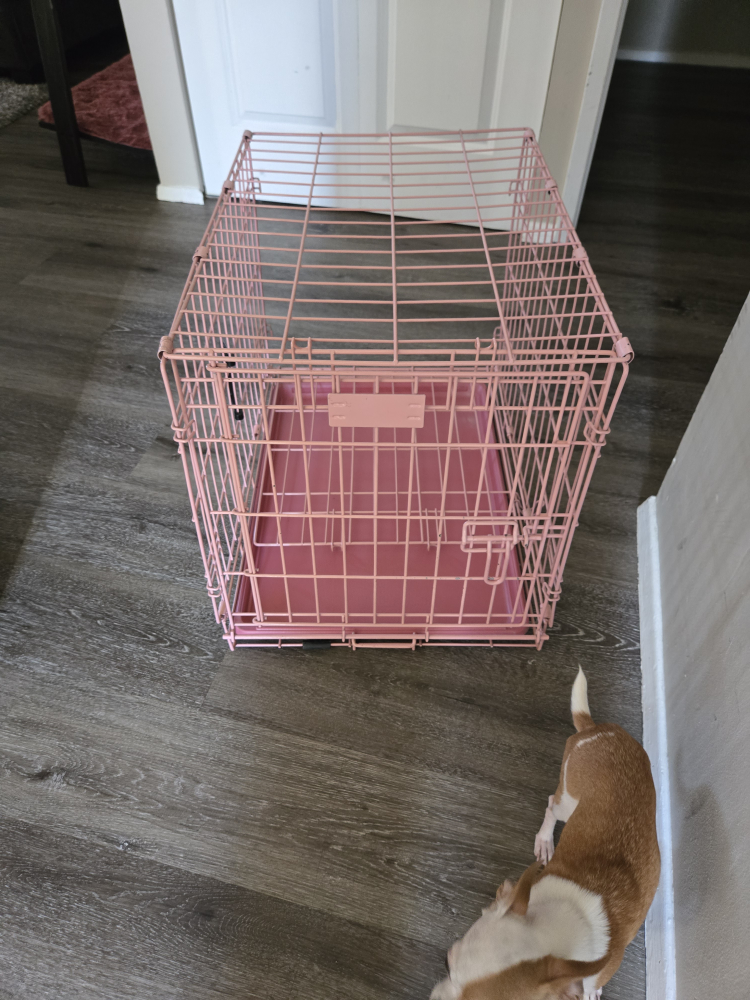 Pink Pet Carrier