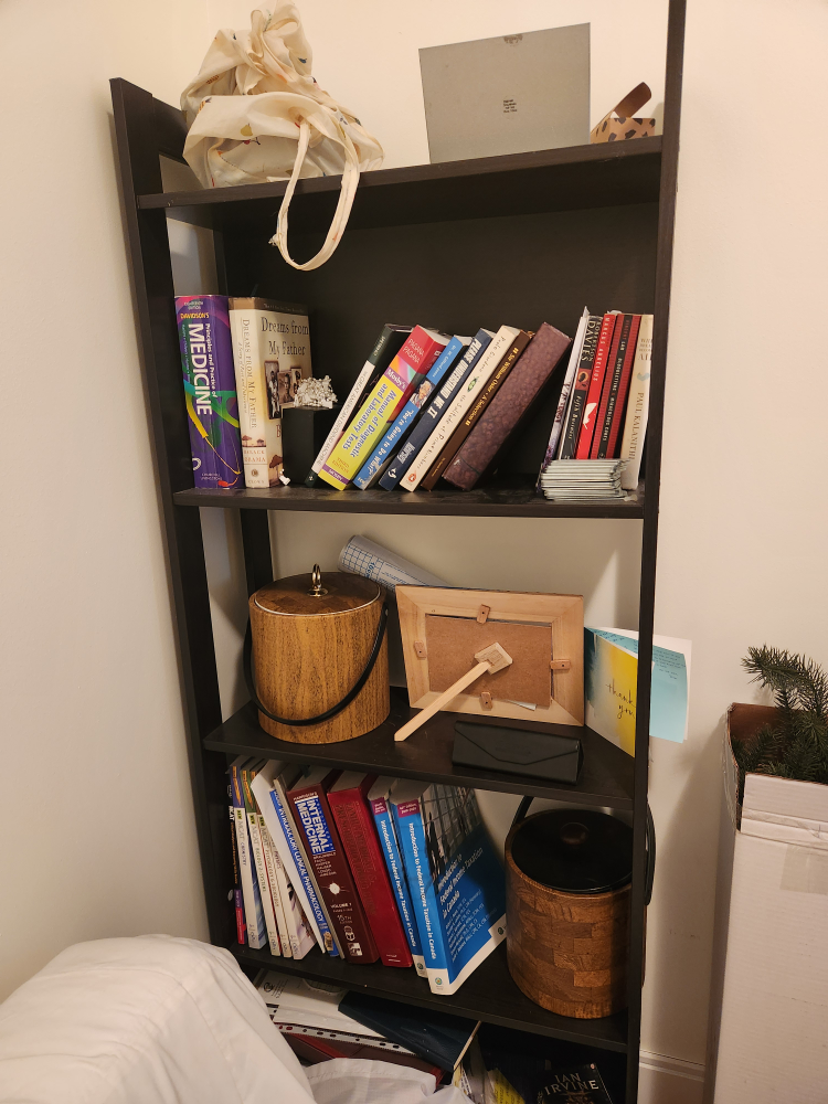 IKEA LAIVA Black-Brown Bookcase