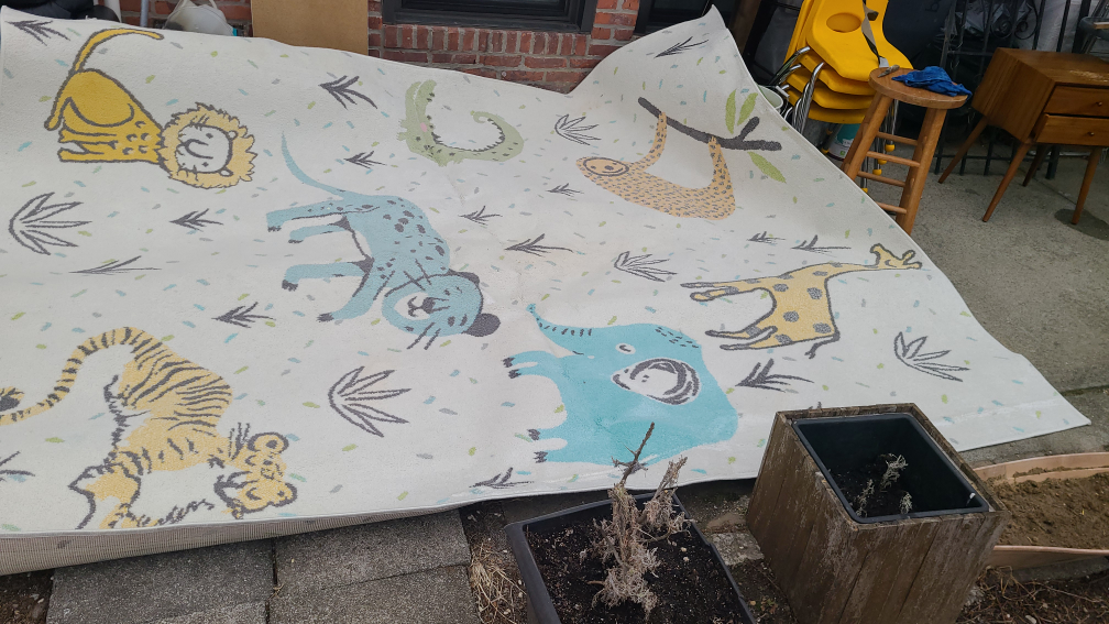 large Living Room Rug - photo 2