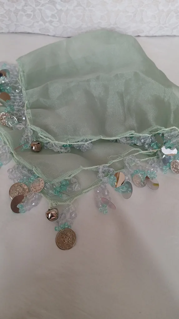 light green scarf for $5.00 image indicator(2)