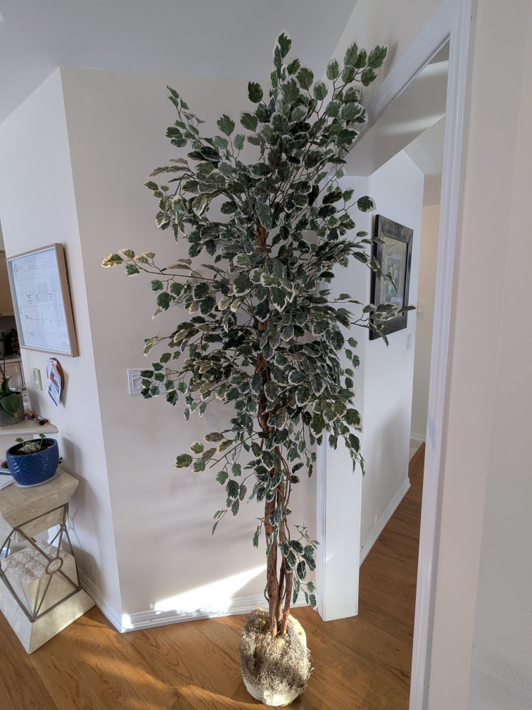 Large Artificial Ficus Tree