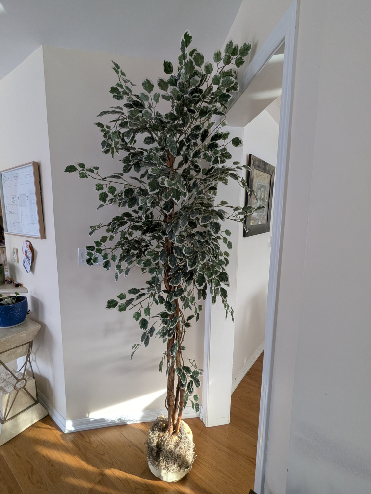 Large Artificial Ficus Tree - photo 4