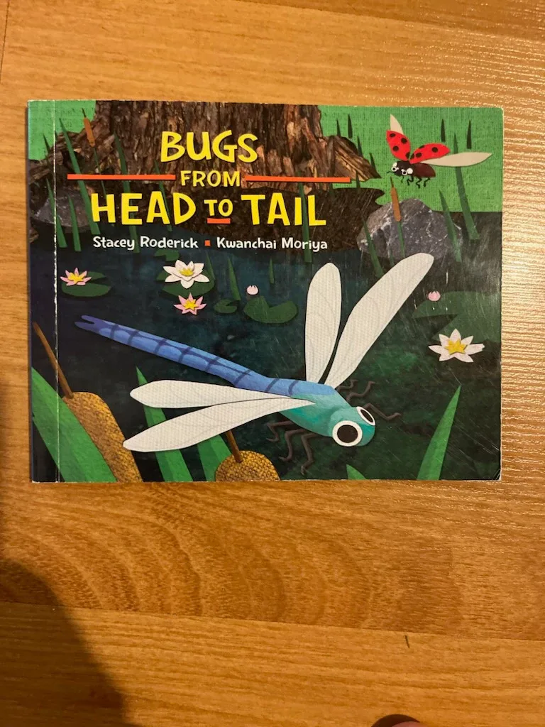 Bugs From Head To Tail Children's Book image indicator(2)
