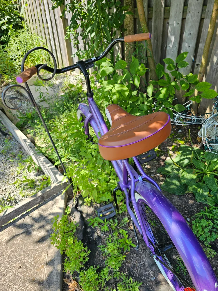 Purple Cruiser Bike image indicator(2)