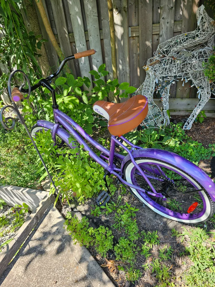 Purple Cruiser Bike image indicator(3)