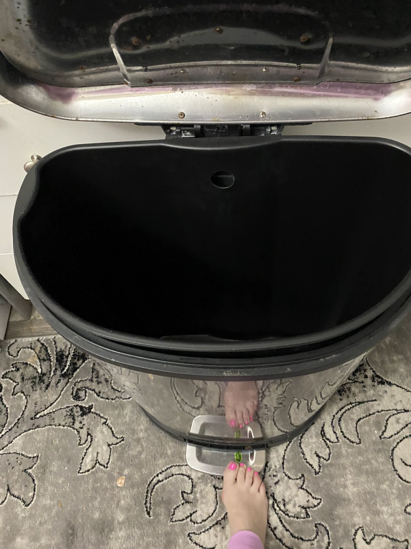Stainless Steel Step Trash Can - photo 3