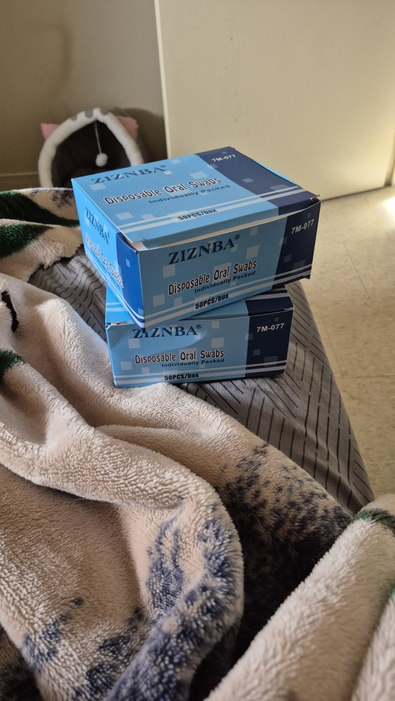 ZIZNBA Disposable Oral Swabs (2 Boxes)