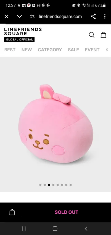 BT21 Cooky Plush Pillow image indicator(4)